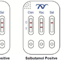 High quality Clenbuterol & Ractopamine & salbutamol rapid test kit for Urine