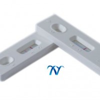 Manufacturer high quality Beta-agonist rapid test kit for urine