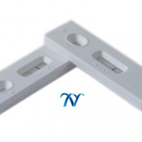 ISO Certificate Nitrofuran metabolites rapid test kit for tissue and honey