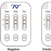 High quality Kwinbon Clenbuterol & Ractopamine & Salbutamol rapid test kit for urine